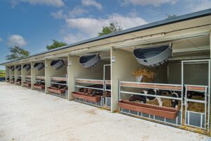 An image of The Calf Company's Optimum Climate Calf Barn built on farm